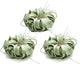ragnaroc Live Air Plant - Tillandsia Xerographica, Jumbo 6-9” - 3 ct - Ideal for Gifts & Presents, Live Indoor Plants & Live House-Plants – Live Plants for Home décor