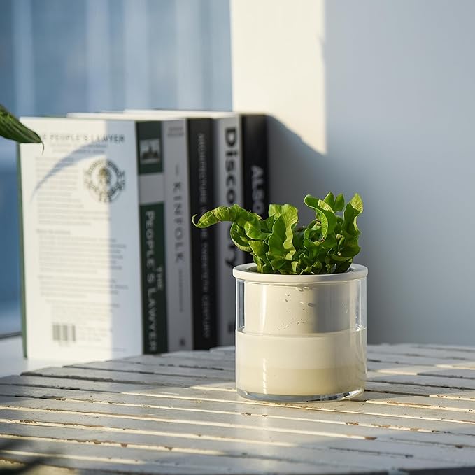 Phoenix Vine 4 Inch Self Watering Planter Pot, Design White Terracotta Pots for Plants, Indoor Cylinder Terra Cotta Pots with Glass Vase, Set of 2, 51-B-E-2