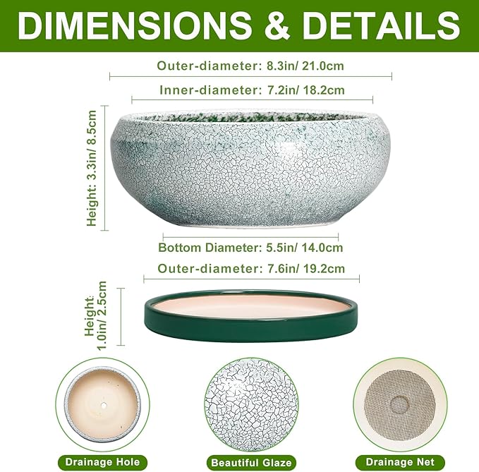 EPFamily Bonsai Tree Pots - 8 Inch Ceramic Succulent Pot with Drainage Hole and Tray, Bonsai Pots, Shallow Planters for Indoor Outdoor, Round Planter Bowl, House Decor, Gifts for Plant Lovers, Green