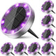 Peasur Solar Ground Lights Outdoor, 8 Pack Flat Solar Powered Disc Lights, IP68 Waterproof, Anti-Rust, Landscape Lighting for Pathway Garden Yard Lawn Walkway Landscape Driveway, Purple