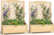 Wooden Raised Garden Bed with Trellis, Freestanding Planter Box with Drainage for Vines Climbing Plants Flowers Herbs, Elevated Gardening Planter for Backyard Balcony Patio
