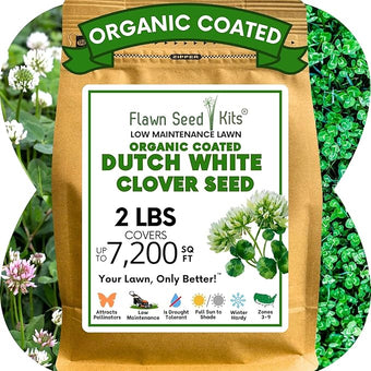 Flawn Seed White Dutch Clover Seeds, 2 Lbs, Organic Coated, Natural Lawn, Ground Cover, Food Plot, Zones 3-9, Covers up to 7,200 Sqft