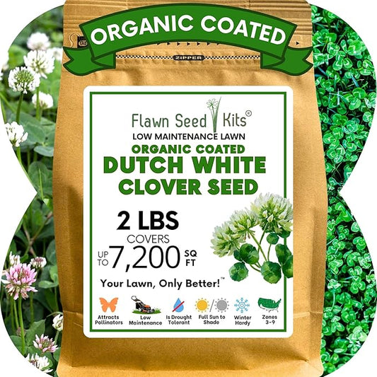 Flawn Seed White Dutch Clover Seeds, 2 Lbs, Organic Coated, Natural Lawn, Ground Cover, Food Plot, Zones 3-9, Covers up to 7,200 Sqft
