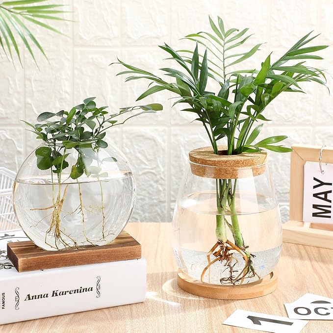 Layhit 4 Pcs Plants Propagation Stations vases Glass Planters with Wooden Lid and Bamboo Stand for Hydroponic Plants Gardening Gifts for Women Mom Home Office Tabletop Decoration(Cute Style)