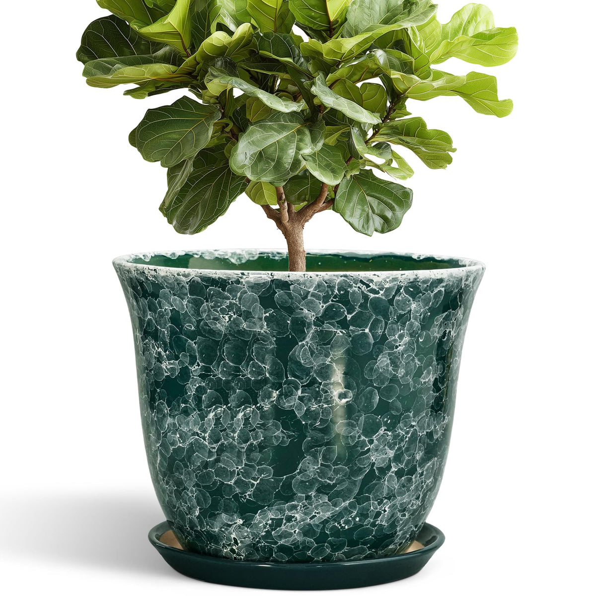 SUNPOTFOR Ceramic Planter - 12 Inch Pots for Plants with Drainage Hole and Saucer, Round Planter for Indoor Outdoor, Large Plant Pot, Modern Planters, Garden Patio Decor, House Warming Gifts, Green