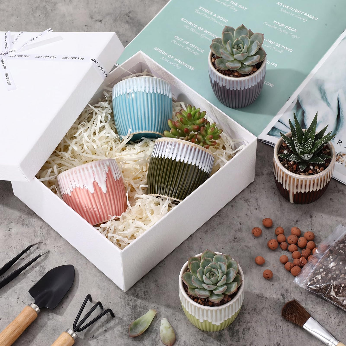 Ferrochef 24 Pcs 2.7 Inch Small Succulent Plant Ceramic Pot with Drainage Hole, Cute Mini Succulent Pots for Plants, Succulents, Cactus, DIY Easter Spring Craft Activity, 6 Colors(Color Blocking)
