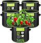 BN-LINK 5-Pack 10 Gallon Grow Bags, Heavy Duty Aeration Fabric Pots with Handles, Thickened Nonwoven Plant Bags for Vegetables, Flowers, Fruits