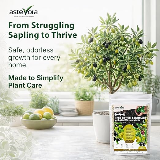 Olive Tree Fertilizer – Fruit Tree Fertilizer for Olive Tree, Citrus, Lemon, Lime, Fig, Avocado, Mango, Apple & Pomegranate – for Potted & Outdoor Trees (10 quarts - 20 lbs.)