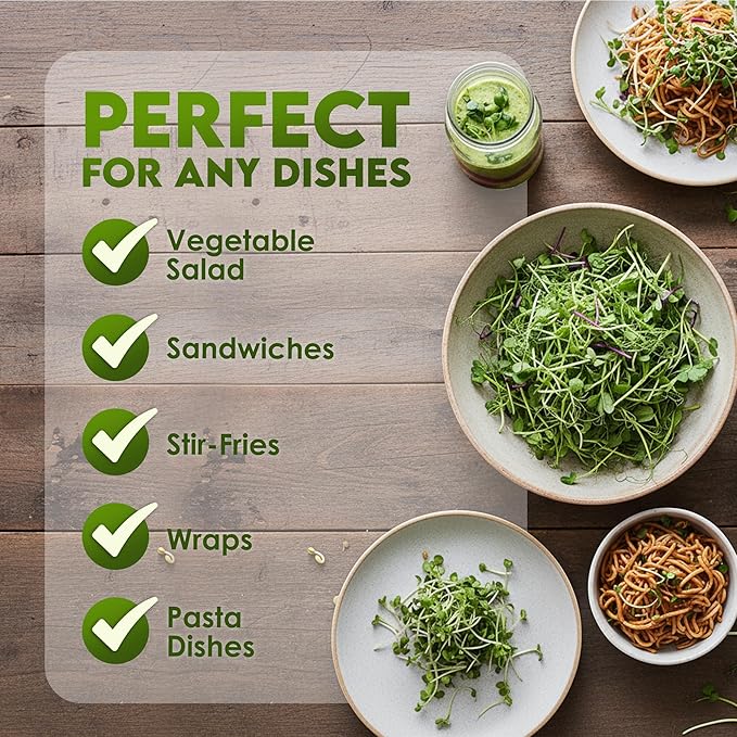 Nature Jims Sprouts Organic Salad Mix – Non-GMO Microgreen Seeds for Growing – Healthy Broccoli, Alfalfa, Radish & Clover Sprouting Variety Blend – Microgreens & Sprouts Seeds for Home Gardening – 1lb
