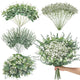 Serwalin 100PCS Mixed Eucalyptus Stems with Baby's Breath Greenery