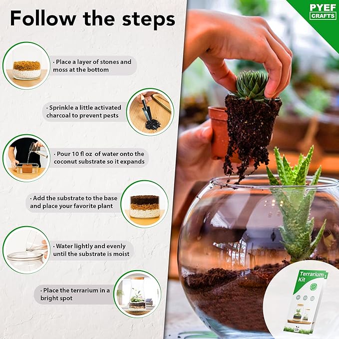 PYEF CRAFTS DIY Terrarium Kit for Plants – Build a Self‑Sustaining Closed Ecosystem – Supplies for Up to 68 oz (1‑2 Liter) Glass Jar – Succulents, Air Plants (Tillandsia), Fern – Jar Not Included