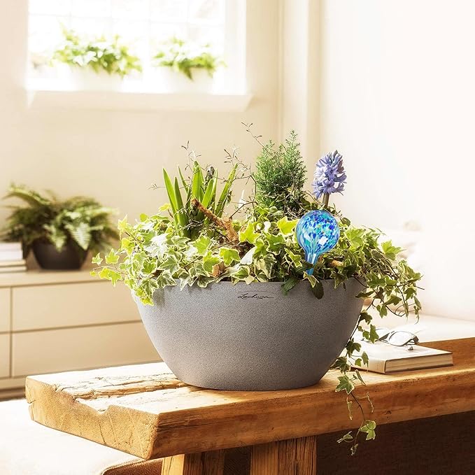 Mission Gallery Plant Watering Globes Set of 4 - Large Self Watering Globes for Indoor & Outdoor Plants - Multicolored, Automatic, Glass Watering Bulbs for Daily Use, Plant Watering Devices