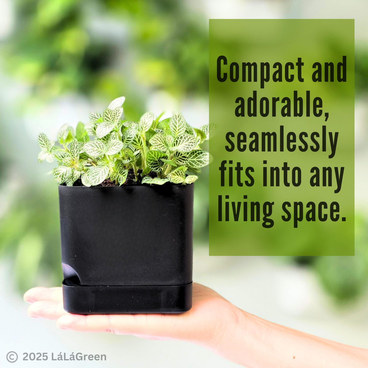 LaLaGreen Planters for Indoor Plants (7 Pack) Rectangular Flower Boxes