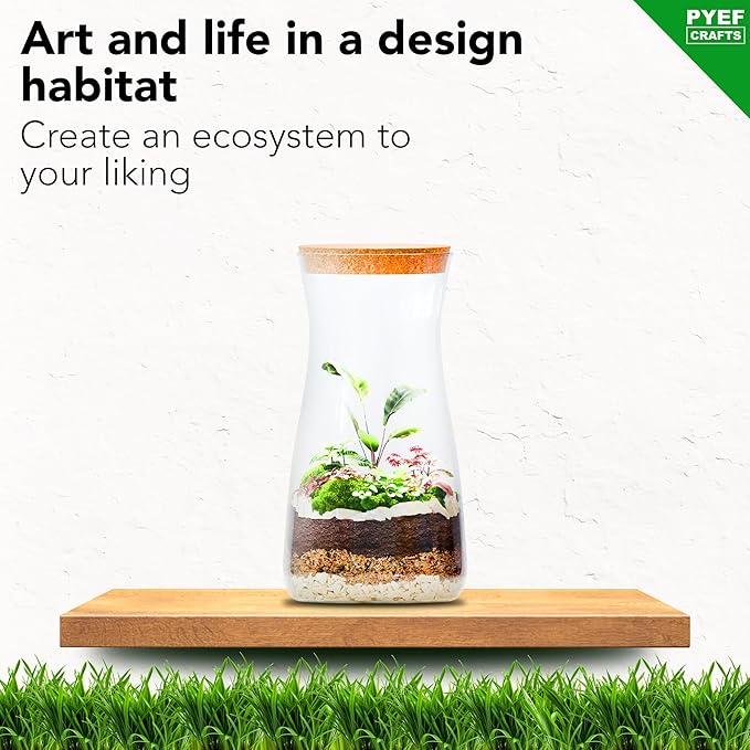PYEF CRAFTS DIY Terrarium Kit for Adults – Build Your Own Self‑Sustaining Closed Ecosystem – 34 fl oz (1‑Liter) Glass Terrarium – Succulents, Air Plants, Fittonia, Fern – Plants Not Included