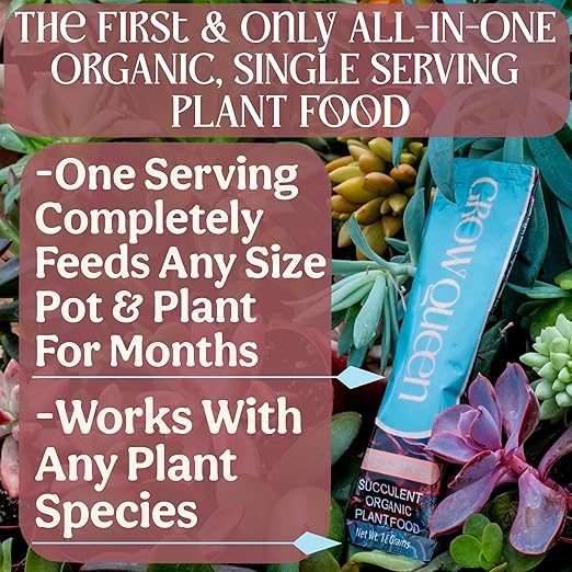 Grow Queen Complete Organic Cactus & Succulent Fertilizer, Succulent Plant Food & Cactus Food, Bonsai, Snake Plant Fertilizer, 7 Servings Fast & Slow Release Feeds up to 28 Plants 8 Months