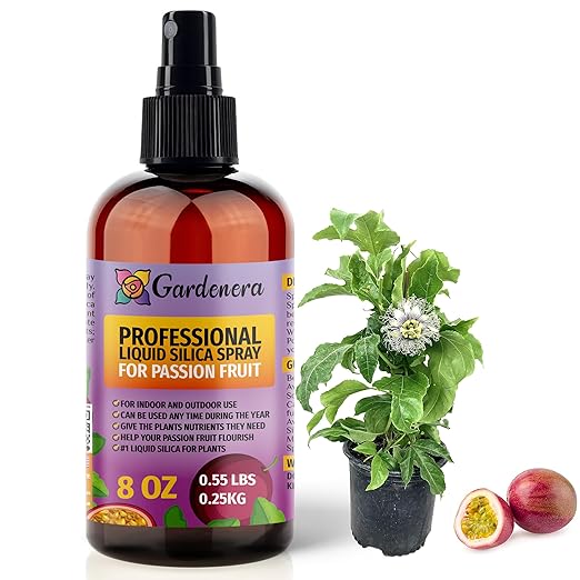 𝐒𝐔𝐏𝐄𝐑𝐈𝐎𝐑 Liquid Silica Boost Fertilizer and Supplement Spray for Passion Fruit Plants – Pre-Mixed, Ready-to-Use Liquid Silicon Plant Superfood Mist for Indoor & Outdoor Plants – 8oz