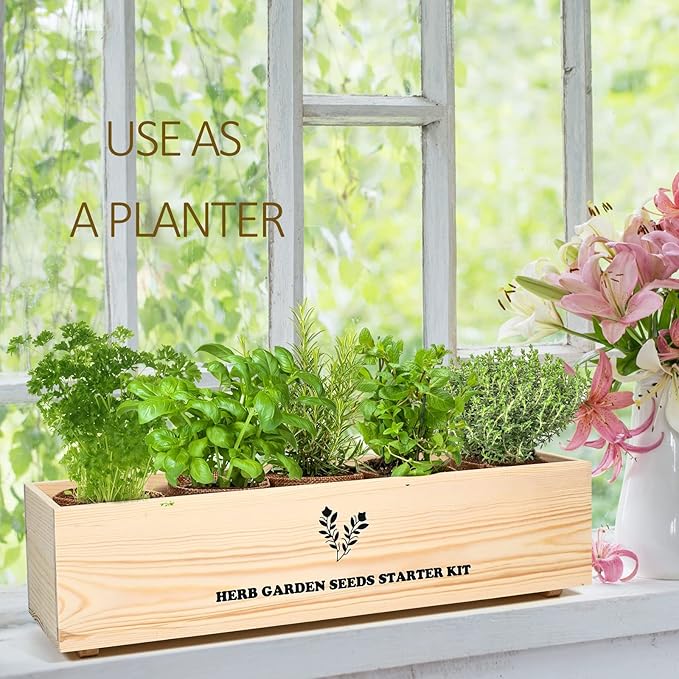 Meekear 5 Herb Seeds Garden Starter Kit with Complete Planting Kit & Wooden Flower Box, Growing into Basil, Parsley, Rosemary, Thyme, Mint for Kitchen Windowsill Herb Garden DIY
