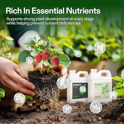 VIVOSUN Liquid Nutrients Base A & B Bundle, Grow Big Hydroponic Fertilizer, Supports Vegetative and Flowering Stages for Outdoor, Indoor Plants, Best Plant Food, Set of Quarts