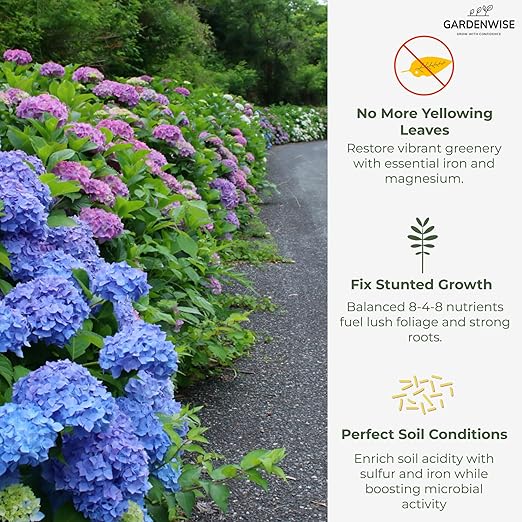 Slow Release Hydrangea Fertilizer with Iron & Sulfur – Indoor & Outdoor Soil Acidifier for Miracle Growth (2 qt)