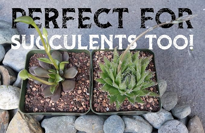 High Drainage Cactus Soil Potting Mix with Mycorrhizal Fungi - 8 Pounds / 4 Quarts of Soil for Succulents and Cactus - Slightly Acidic, Gritty Soil for Healthy Indoor Plants - Spike & Bloom
