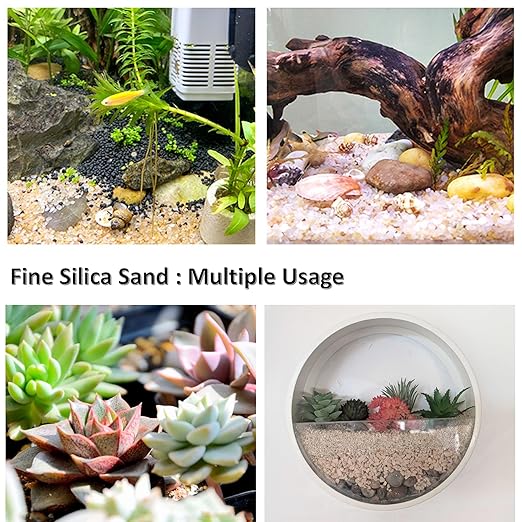 1 LB Fine Natural Silsand, Coarse Silica Sand for Plants, Aquariums, Fire Pits, Terrariums, Cactus and Succulent Plants & Garden Sand Grit