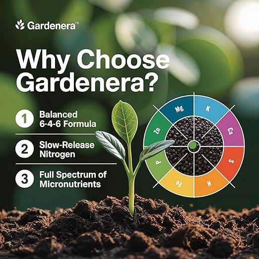 𝐁𝐄𝐒𝐓𝐒𝐄𝐋𝐋𝐄𝐑 Citrus Fertilizer + Vital Micronutrients - Perfect Balanced NPK for All Citrus - for Indoor and Outdoor Plants - Orange, Lime, Avocado and Lemon Tree Fertilizer - 4 QUARTS