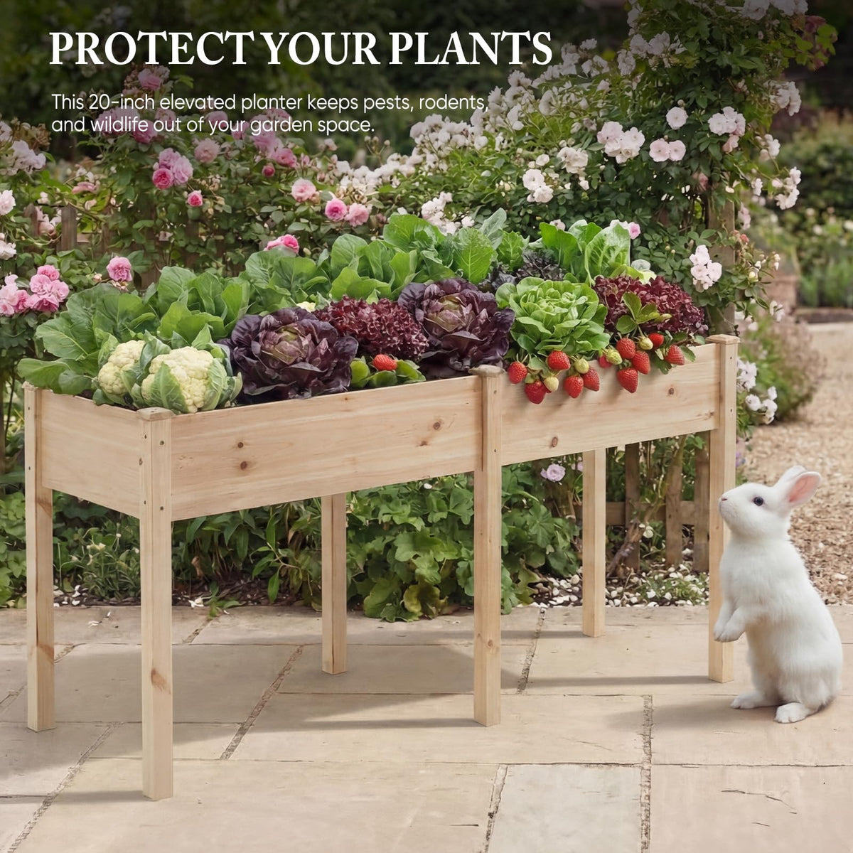 DUMOS 72x23x30 Inch Raised Garden Bed, Elevated Wood Planter Box with Legs