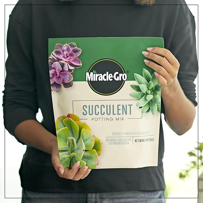 Miracle-Gro Succulent Potting Mix, For Indoor Succulents, Aloe Vera and More, Made with Miracle-Gro Plant Food, 4 qt