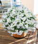 Artificial Bougainvillea Flowers for Outdoors Fake Plants, 4 Bundles White Fake Spring Flowers Silk UV Resistant Look Real Faux Flowers for Outdoor Planters Porch Patio Window Garden Outside Decor
