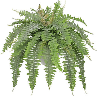 Hollyone Artificial Fern Plants in White Pot 25.5" Medium Artificial Boston Fern 31 Leaves for Outdoors & Indoor Faux Potted Plants Fake Ferns Bush Plant Patio Garden Farmhouse Porch Decor Dusty Green