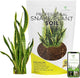 Professional Snake Plant Soil | Large 2.2 Quarts Ready to Use for Snake Plants | Peat Moss, Coco Coir, Perlite, Dolomite | Made in USA