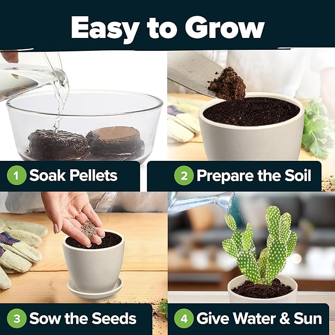 HOME GROWN Succulent & Cactus Seed Kit for Planting – [Enthusiasts Favorites] Premium Cactus & Succulent Starter Kit: 4 Planters, Drip Trays, Markers, Seeds Mix, Soil - DIY Gift Kits