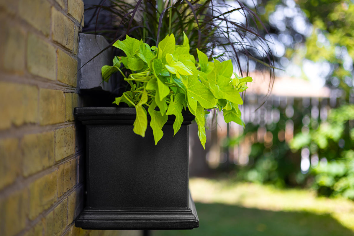 Mayne Fairview 24in Self-Watering Retangular Window Box Planter, White