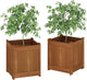 Furinno 2-FG16450 Tioman Hardwood Flower Box, Two-Pack, Natural