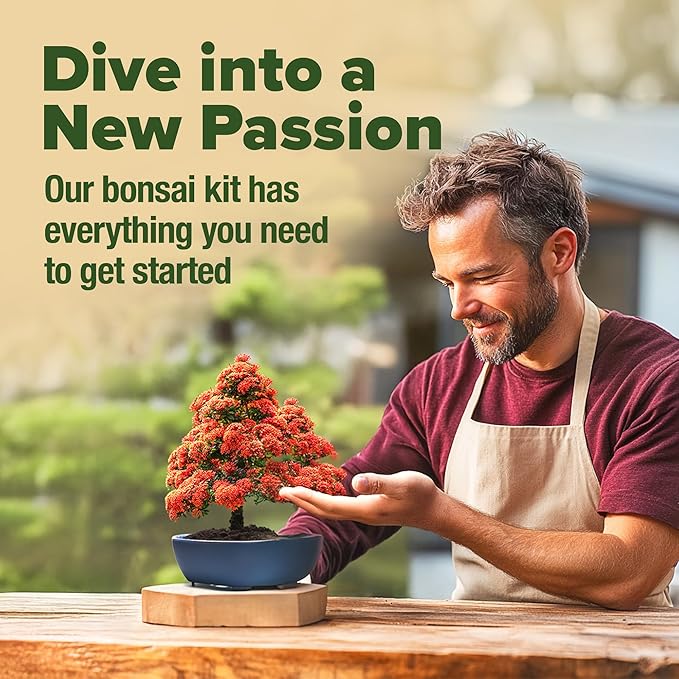 HOME GROWN Bonsai Tree Kit – 6 Heirloom Varieties with Unique Pots – DIY Bonsai Starter Kit for Adults & Beginners – Christmas Gift for Men Women Gardeners Plant Lovers – Indoor Growing Kit
