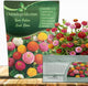 Outsidepride Zinnia Seeds - 1000 Pcs Annual Blend of Hardy Compact Mixed Color Ball-Shaped Blooms for Planting in Outdoor Containers, Borders, Flower Beds, Cutting Gardens & Pollinator-Friendly Spaces