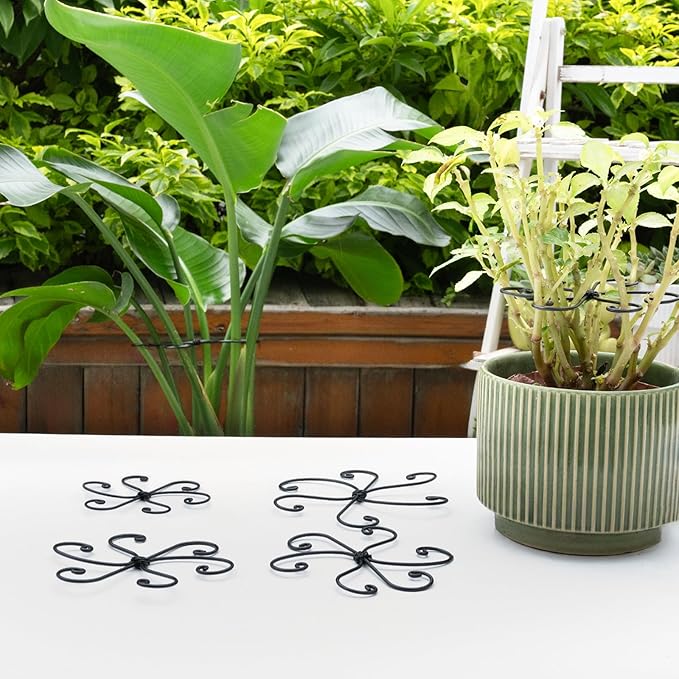 Black Monstera Plant Support 5.5IN 5PCS Premium Stem Support System for Indoor Plants, Durable Stabilizer for Monstera and Climbing Plants, Easy Installation Leaf Holder, Fishbone Cactus Stake