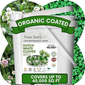 Flawn Seed Kits Dutch White Clover Seeds Organic Coated, 11 Lbs, Natural Lawn, Ground Cover, Hunting Food Plot, Covers up to 40,000 Sqft