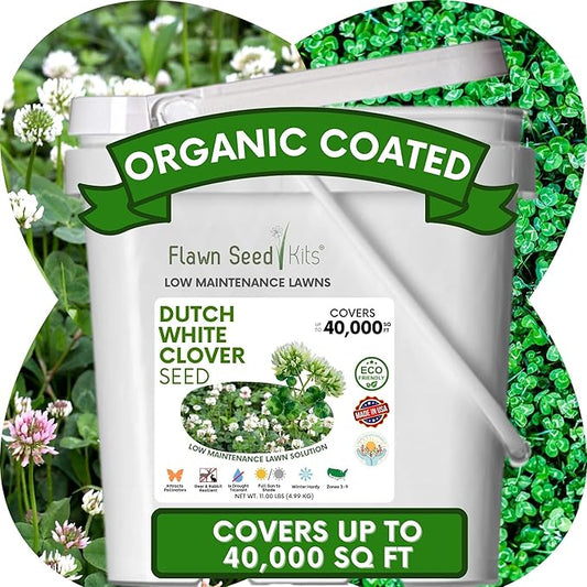 Flawn Seed Kits Dutch White Clover Seeds Organic Coated, 11 Lbs, Natural Lawn, Ground Cover, Hunting Food Plot, Covers up to 40,000 Sqft