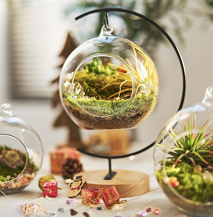 15-Piece Terrarium Kit with Live Moss – DIY Glass Globe Set with Tools, Soil, Stones & Spray Bottle – Indoor Mini Garden Gift for Plant Lovers, Home Decor & Zen Craft