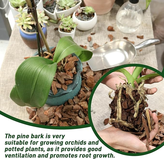 3 Quart Organic Orchid Bark for Potting-Natural Orchid Mulch for Potted Plants, Root Development of Orchid Plants and Garden Soil Amendment Mix