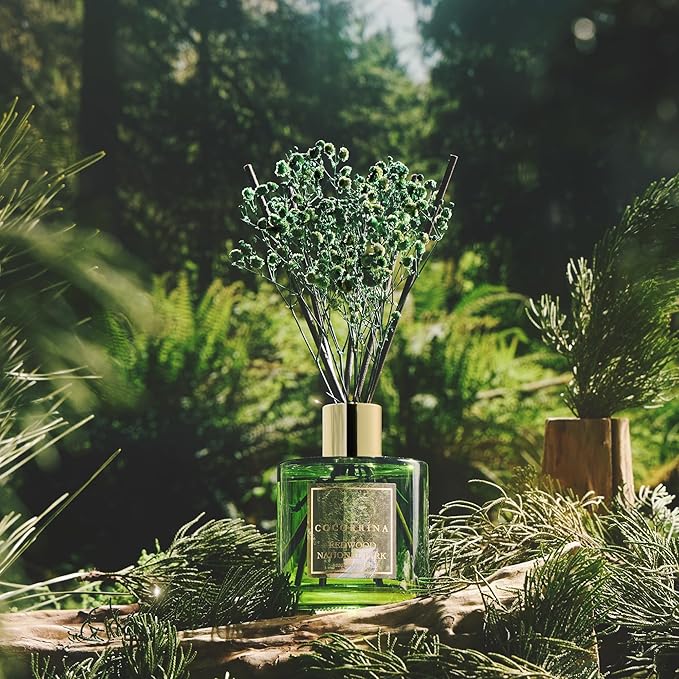 COCORRÍNA Reed Diffuser - Redwood National Park 6.7 Fl.oz Reed Diffuser Set with 8 Sticks & Preserved Baby's Breath, Reed Diffuser for Home Bathroom Shelf Decor