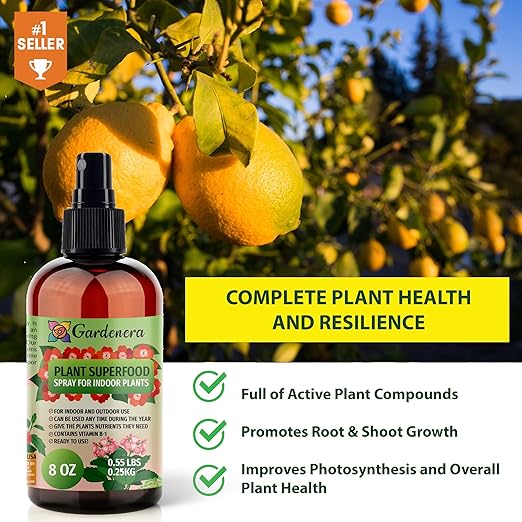 𝐁𝐄𝐒𝐓𝐒𝐄𝐋𝐋𝐄𝐑 Plant Superfood for Citron Trees with B1 Vitamin, Glucose and Essential Minerals - Organic Plant Food Fertilizer for Indoor & Outdoor Citron Plant Care - 8oz