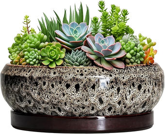EPFamily Succulent Pots 10 Inch - Ceramic Bonsai Pots with Drainage Hole and Tray, Large Succulent Planters, Shallow Planter Indoor, Round Planter Bowl, Window Decor, Gifts for Plant Lovers, White