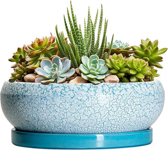 EPFamily Succulent Pots 8 Inch - Ceramic Bonsai Pots with Drainage Hole and Saucer, Succulent Planters for Indoor Plants Outdoor, Round Shallow Planter Bowl, Porch Decor, Gardening Gifts, Blue