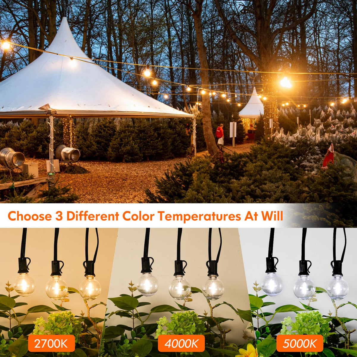 25FT LED Outdoor String Lights with Dimmable 3 Color Lights with Remote