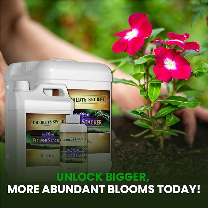 Humboldts Secret Flower Stacker | 0-7-5 Bloom Booster with Vitamin B1 | High Phosphorus Potassium Flowering Nutrients | Potting Soil Hydroponics Coco | Indoor & Outdoor Plants | 2.5 Gallon