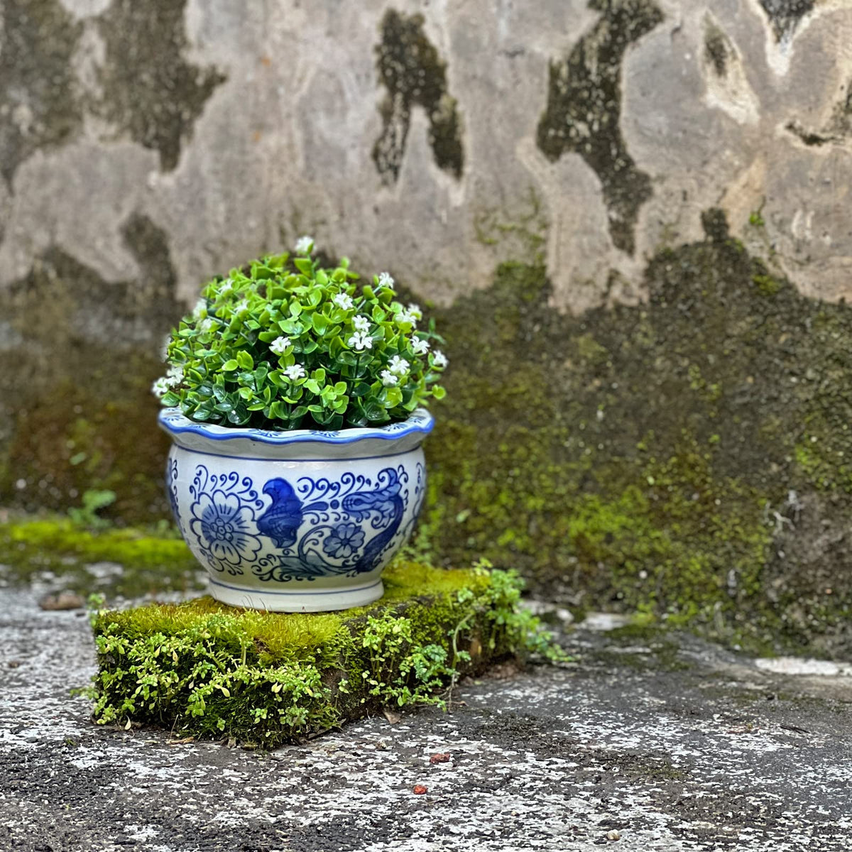 Blue and White Planters, Ceramic Plant Pots Indoor with Drainage, Set of 3