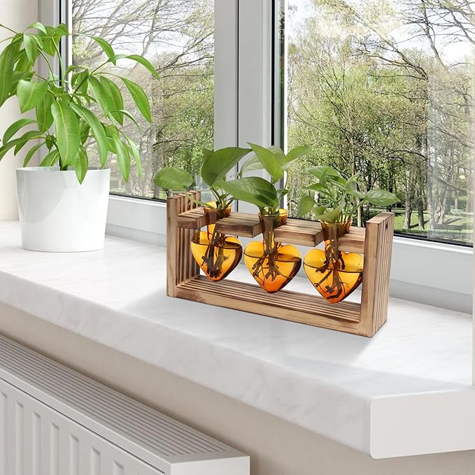 Plant Terrarium Propagation Stations Hydroponics Home Garden Decoration Gift for Women with Wooden Stand Heart Shaped Colored Glass Vase