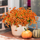 Artificial Fake Plants Flowers for Outdoor Outside Fall Decoration,12 Bundles Faux Silk Orange Daisy in Planter UV Resistant Look Real for Home Front Door Porch Patio Garden Balcony Autumn Decor